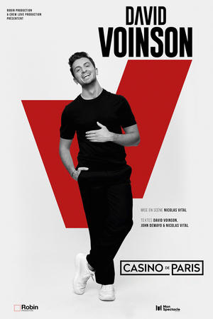 Regarder David Voinson en streaming complet