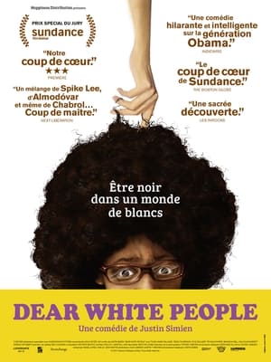 Regarder Dear White People en streaming complet