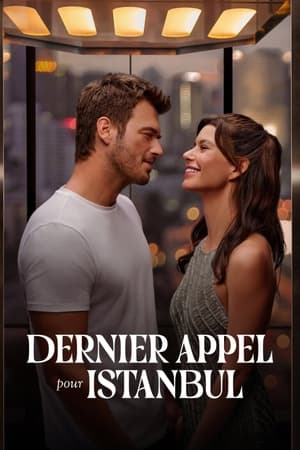 Regarder Dernier appel pour Istanbul en streaming complet