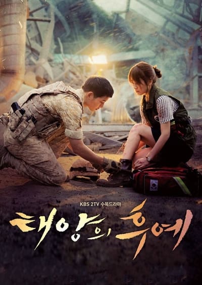 Regarder Descendants of the Sun - Saison 1 en streaming complet