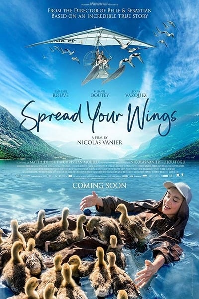 Regarder Donne-moi des ailes en streaming complet