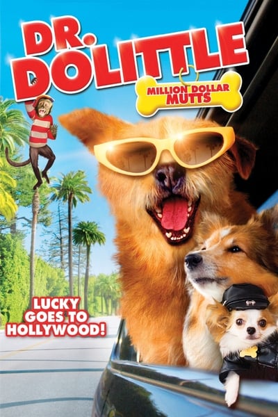 Regarder Docteur Dolittle 5 en streaming complet