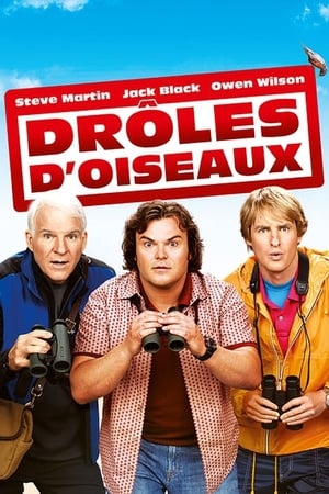 Regarder Drôles d'Oiseaux en streaming complet