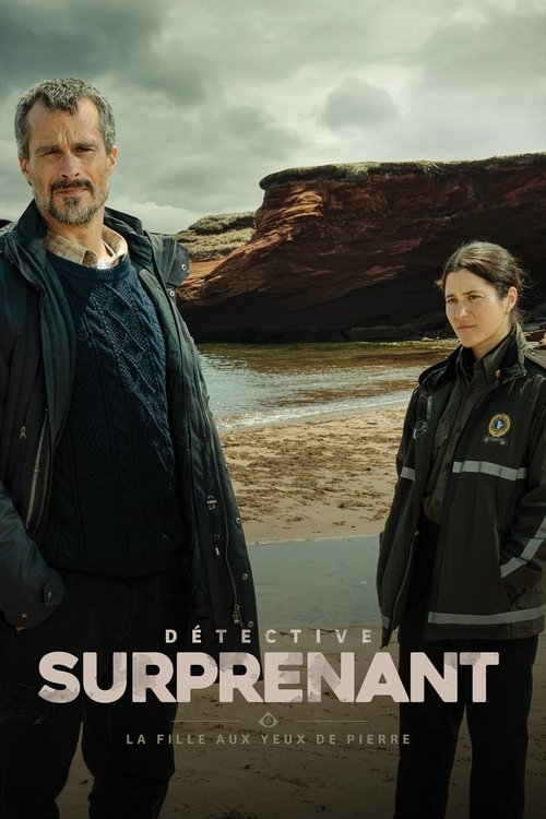 Regarder Détective Surprenant - Saison 2 en streaming complet