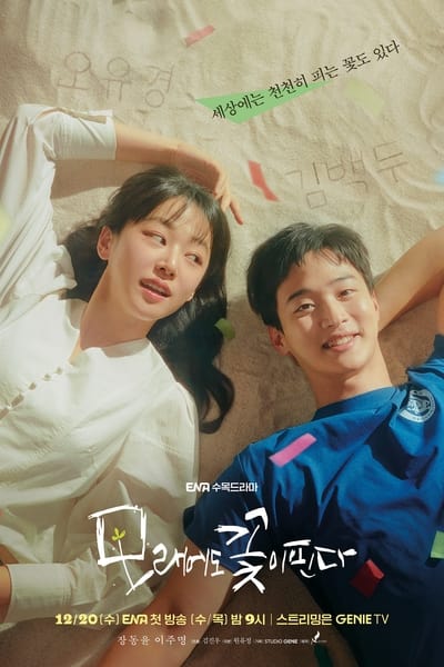 Regarder Du sable nous renaîtrons - Saison 1 en streaming complet