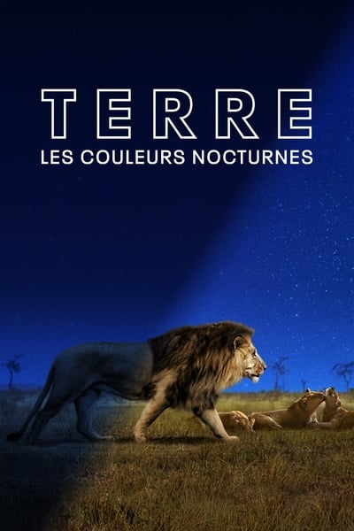 Regarder Terre : Les Couleurs Nocturnes - Saison 1 en streaming complet
