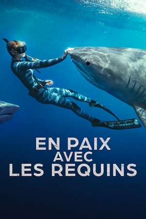 Regarder En Paix avec les Requins en streaming complet