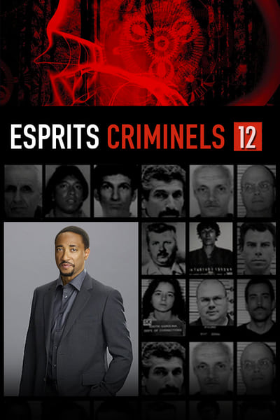 Regarder Esprits criminels - Saison 12 en streaming complet
