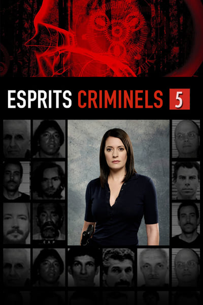 Regarder Esprits criminels - Saison 5 en streaming complet