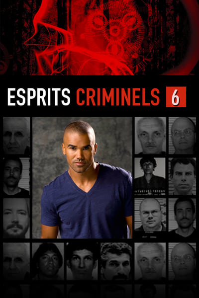 Regarder Esprits criminels - Saison 6 en streaming complet