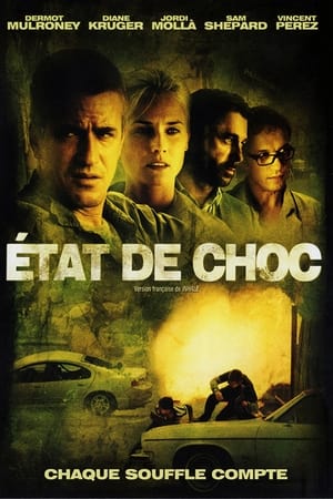 Regarder Etat de choc en streaming complet