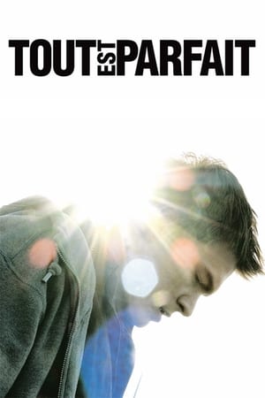 Regarder Tout est parfait en streaming complet