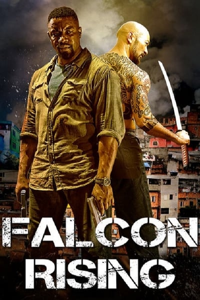Regarder Falcon Rising en streaming complet