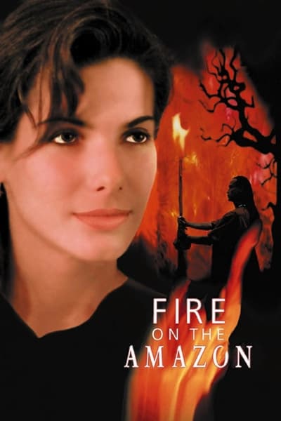 Regarder Fire on the Amazon en streaming complet