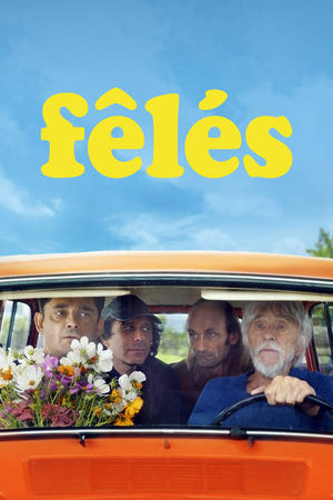 Regarder Fêlés en streaming complet