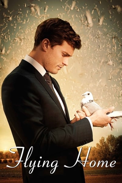 Regarder Flying Love en streaming complet
