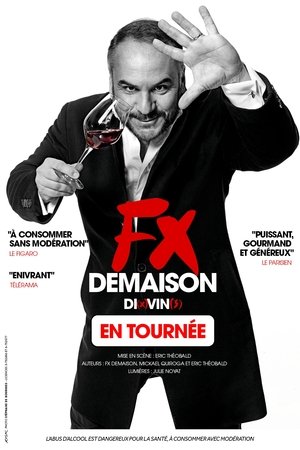 Regarder Francois-Xavier Demaison : Di(x)vin(s) en streaming complet