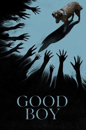 Regarder Good Boy en streaming complet
