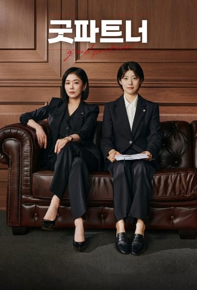 Regarder Good Partner - Saison 1 en streaming complet