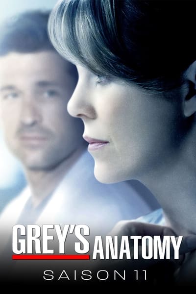 Regarder Grey's Anatomy - Saison 11 en streaming complet