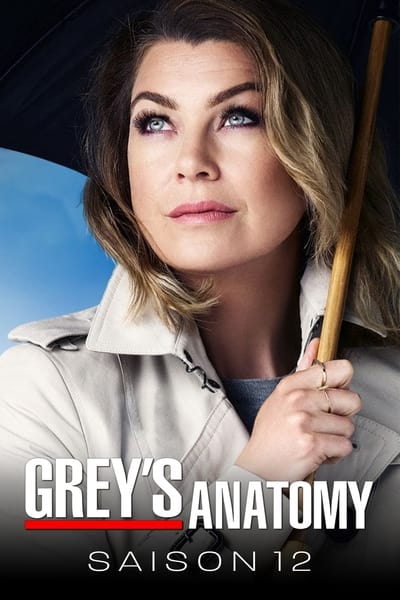 Regarder Grey's Anatomy - Saison 12 en streaming complet