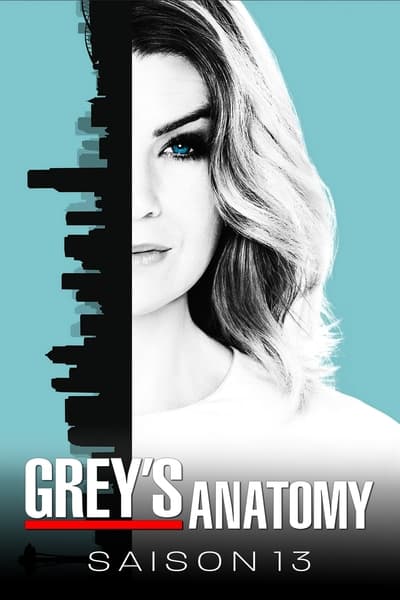 Regarder Grey's Anatomy - Saison 13 en streaming complet