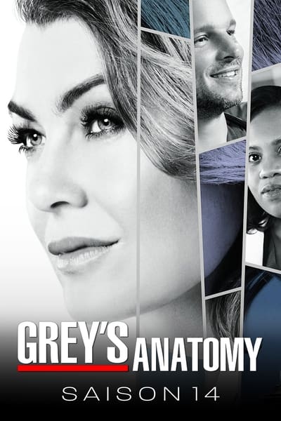 Regarder Grey's Anatomy - Saison 14 en streaming complet