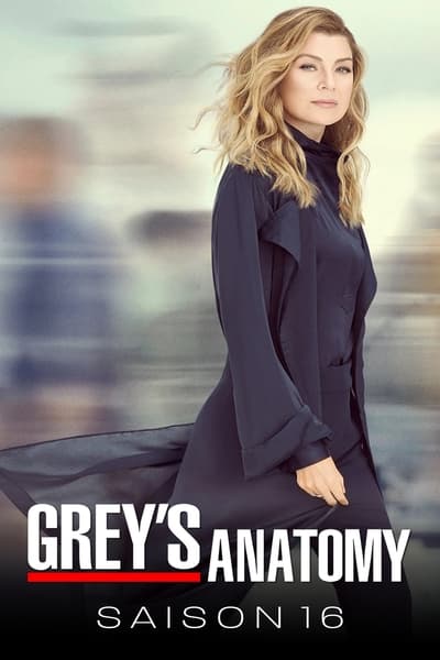 Regarder Grey's Anatomy - Saison 16 en streaming complet