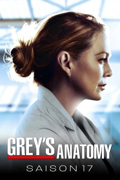 Regarder Grey's Anatomy - Saison 17 en streaming complet