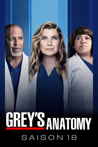 Regarder Grey's Anatomy - Saison 18 en streaming complet