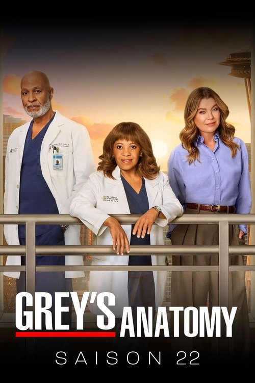 Regarder Grey's Anatomy - Saison 22 en streaming complet