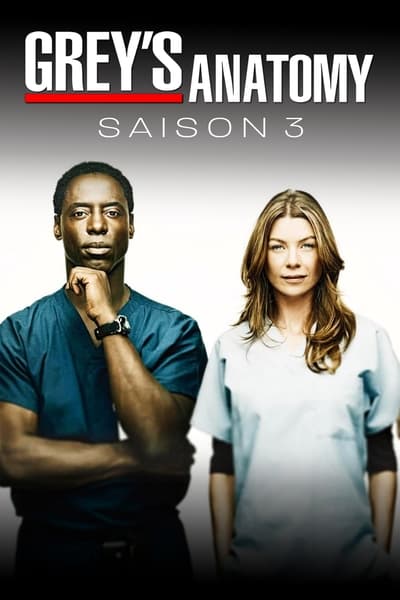 Regarder Grey's Anatomy - Saison 3 en streaming complet