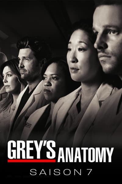 Regarder Grey's Anatomy - Saison 7 en streaming complet