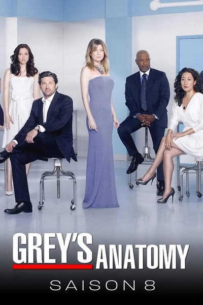 Regarder Grey's Anatomy - Saison 8 en streaming complet