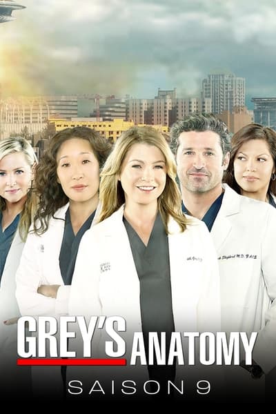 Regarder Grey's Anatomy - Saison 9 en streaming complet