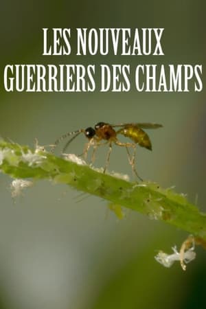 Regarder Les nouveaux guerriers des champs en streaming complet