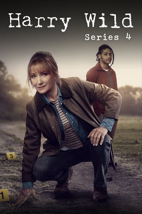 Regarder Harry Wild - Saison 4 en streaming complet