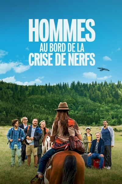 Regarder Hommes au bord de la crise de nerfs en streaming complet