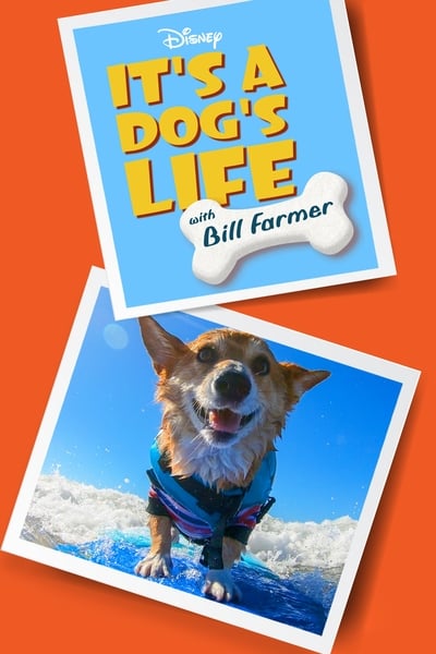 Regarder Héros fidèles avec Bill Farmer - Saison 1 en streaming complet