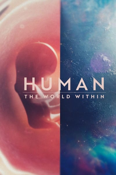 Regarder Human: The World Within - Saison 1 en streaming complet