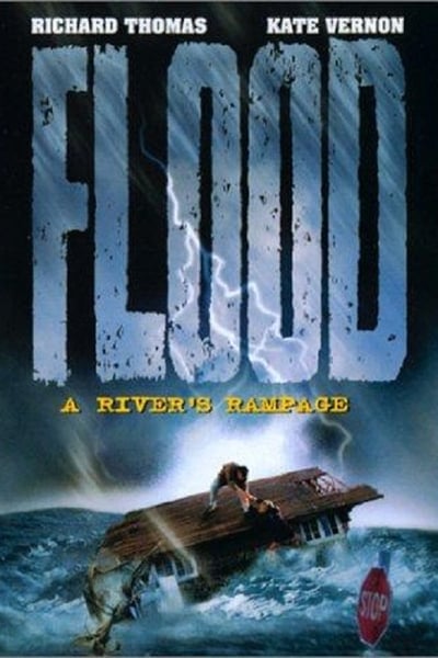 Regarder Inondations : Un fleuve en colère en streaming complet