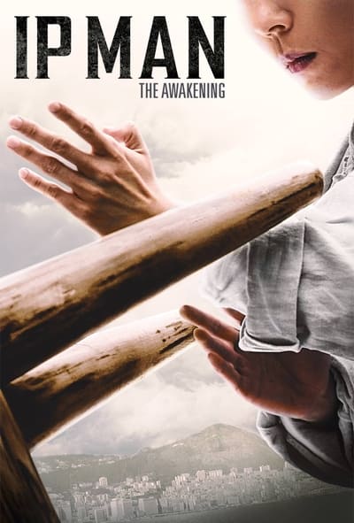 Regarder Master Ip Man : The Awakening en streaming complet