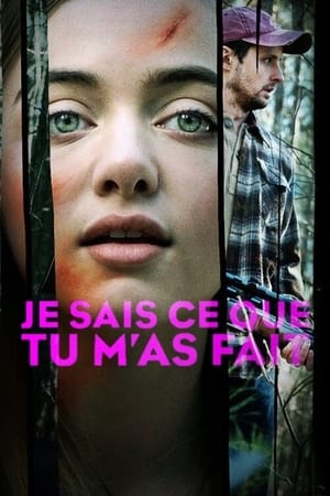 Regarder Je sais ce que tu m’as fait en streaming complet