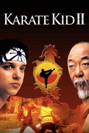Regarder Karaté Kid II en streaming complet