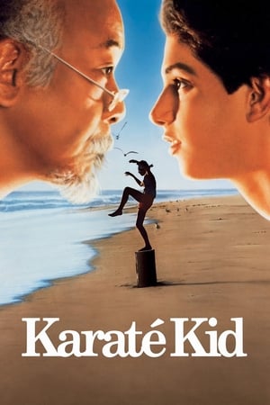 Regarder Karaté Kid en streaming complet