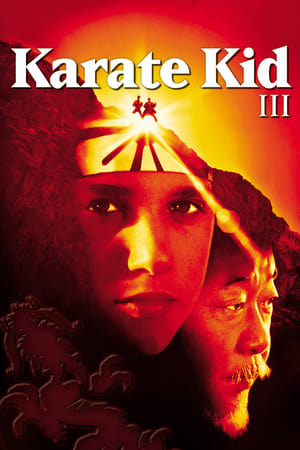 Regarder Karaté Kid III en streaming complet