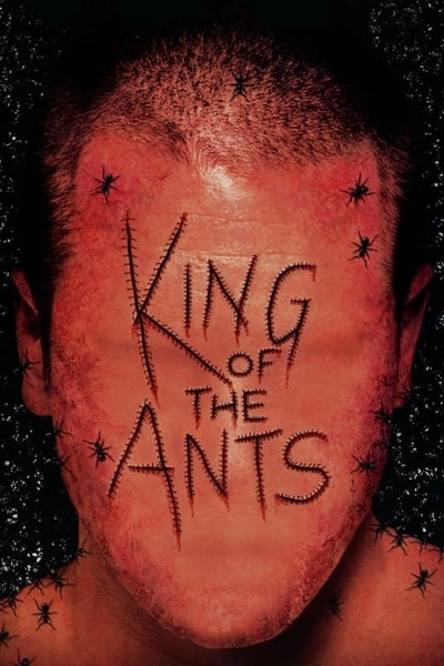 Regarder King of the Ants en streaming complet
