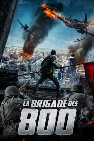 Regarder La Brigade des 800 en streaming complet