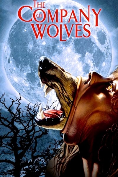 Regarder La Compagnie des loups en streaming complet