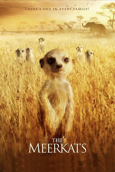 Regarder La Famille Suricate en streaming complet